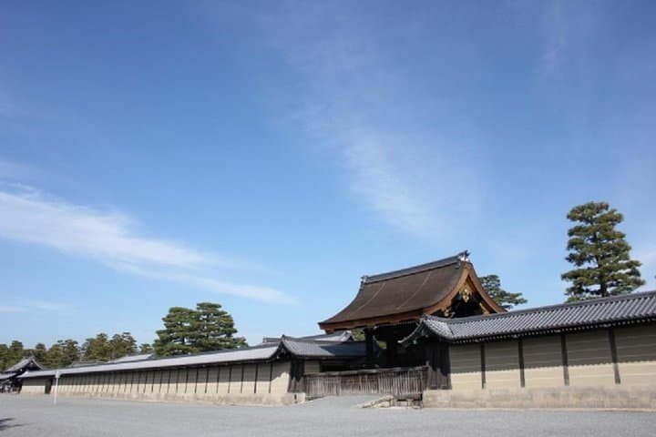 Private Nijo Castle Sightseeing and Nishiki Food Tour — photo 8
