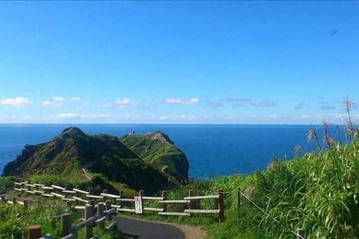 Hokkaido Day Trip to Shakotan Peninsula from Sapporo — photo 4