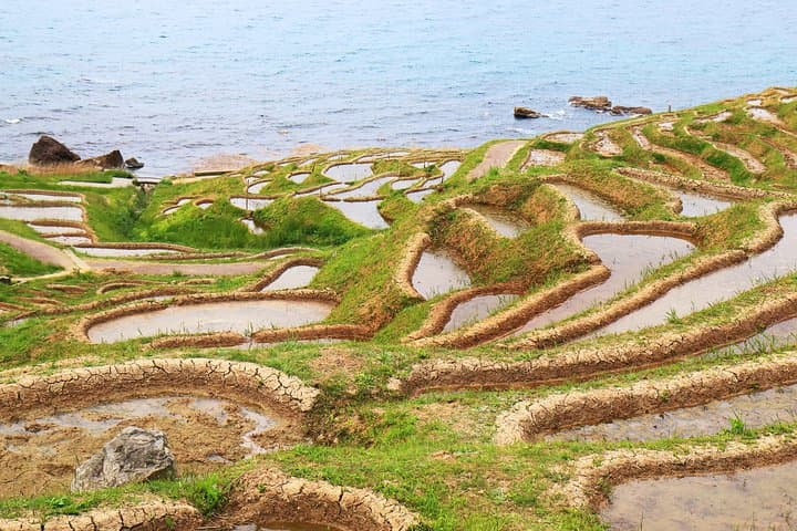 Noto peninsula 1 day/Photoshoot with professional photographer — photo 9