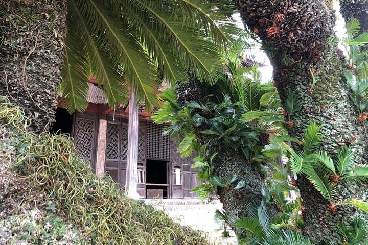 Taste Local Life: Nagasaki's Historical Street Walking Tour — photo 17