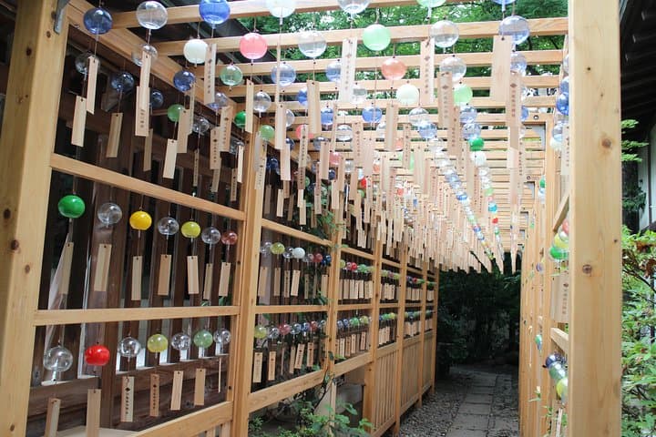 Experience Seasonal Green Tea Picking in Sayama and Nostalgic Walk in Kawagoe! — photo 10