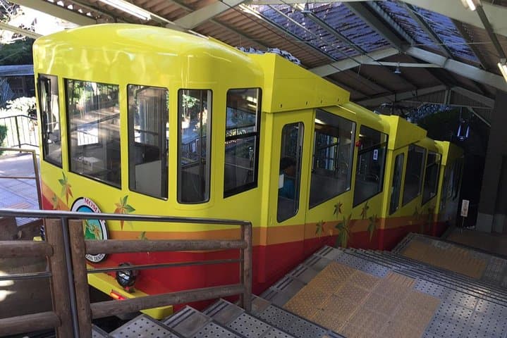 Full Day Hiking Tour at Mt.Takao including Hot Spring — photo 11