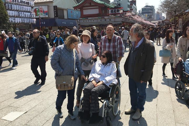 Full-Day Accessible Tour of Tokyo for Wheelchair Users — photo 13