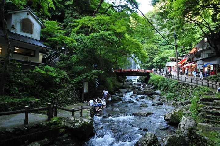 Nature Walk at Minoo Park, the Best Nature and Waterfall in Osaka — photo 8