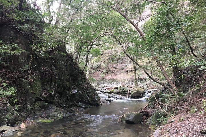 Nature Walk at Minoo Park, the Best Nature and Waterfall in Osaka — photo 11