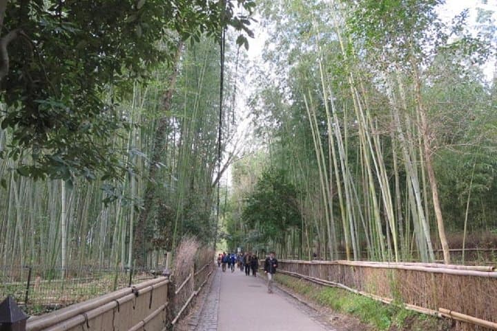 Visit the Lushan area (on foot, by tram) — photo 1