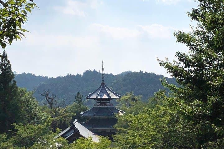 Historic and Natural Guided Hike in Yoshino — photo 8
