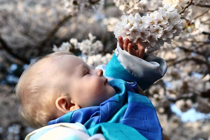 Kanazawa private 1 day/Photoshoot by professional photographer — photo 13