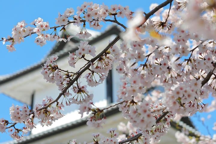Kanazawa private 1 day/Photoshoot by professional photographer — photo 3