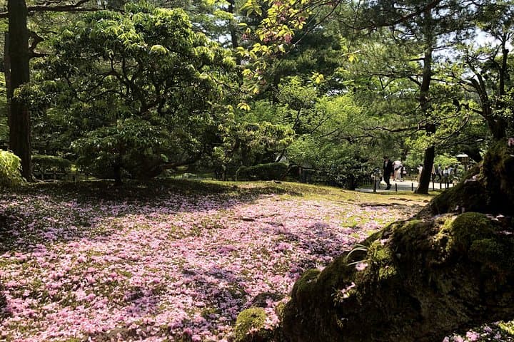 Kanazawa Private Tour: Highlights of an Old Samurai Town — photo 12