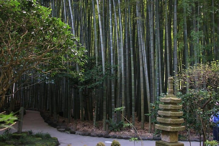 8-hour Kamakura tour by qualified guide using public transportation — photo 2