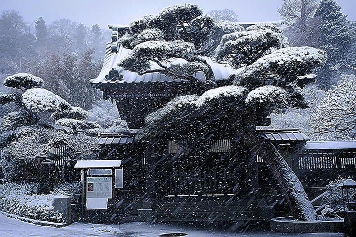 When Emperors Reigned and Shoguns Ruled — photo 5