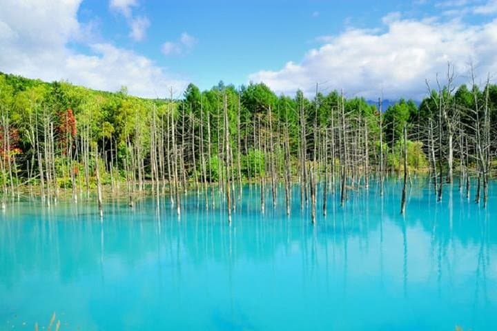 Hokkaido's Summer Highlights in 2 days — photo 2