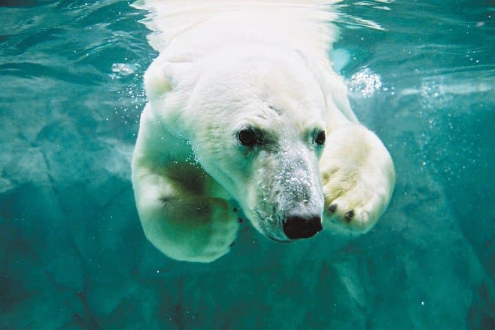 Hokkaido's Summer Highlights in 2 days — photo 4