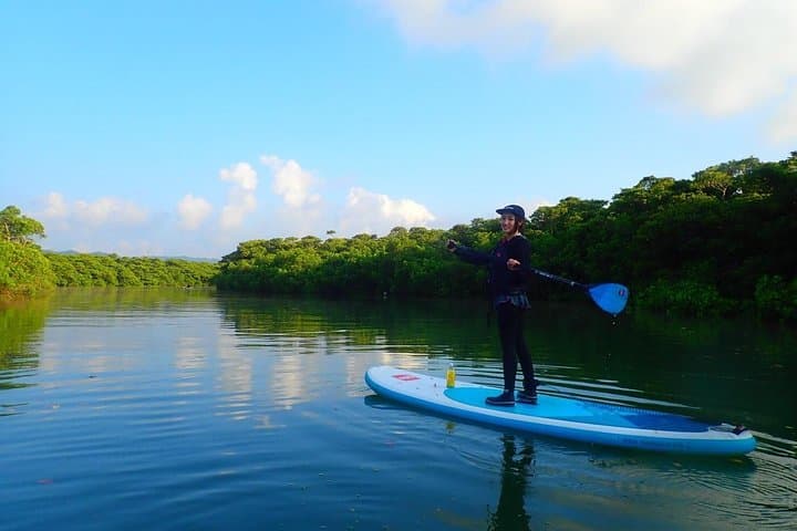 Okinawa Ishigaki Mangrove SUP or Canoe Tour — photo 15