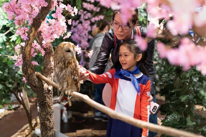 Tokyo Private Cherry Blossom Tour with a Local – Picnic Included — photo 10