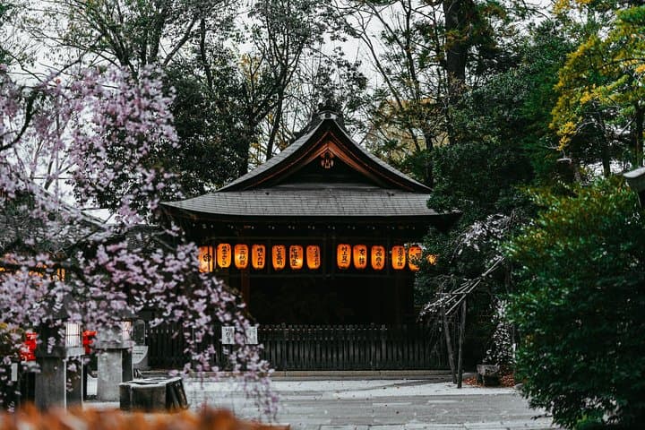 Private & Unique Kyoto Cherry Blossom "Sakura" Experience — photo 13