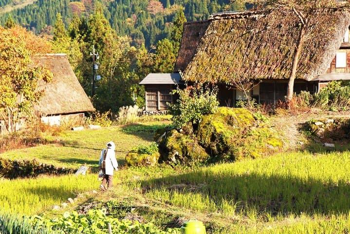 Gokayama and Shirakawago/Photoshoot by professional photographer — photo 16