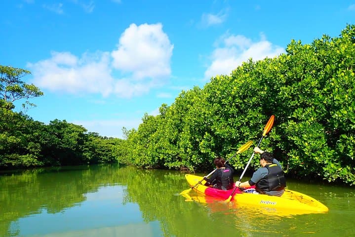 Okinawa Ishigaki Mangrove SUP or Canoe Tour — photo 20
