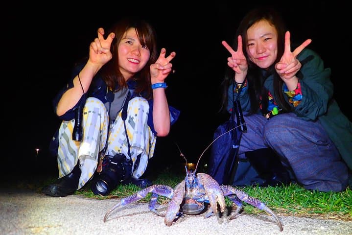 Okinawa Ishigaki Island Night Starry sky and Jungle night tour — photo 9