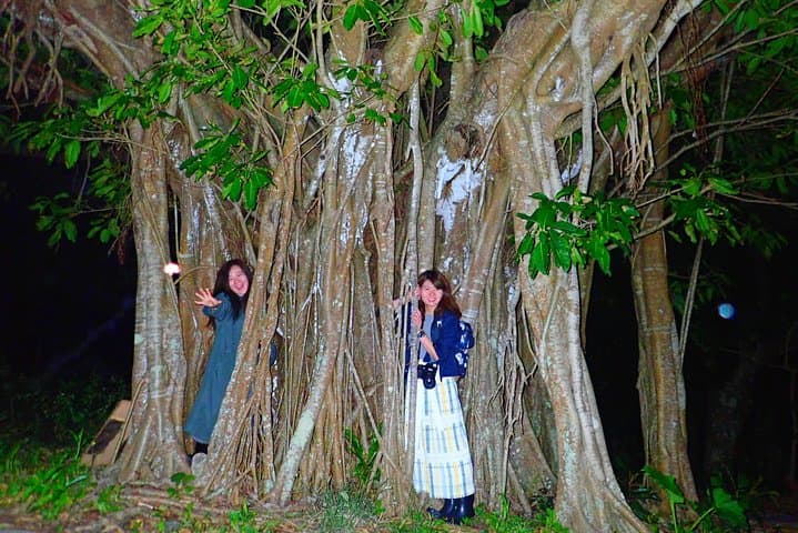 Okinawa Ishigaki Island Night Starry sky and Jungle night tour — photo 10
