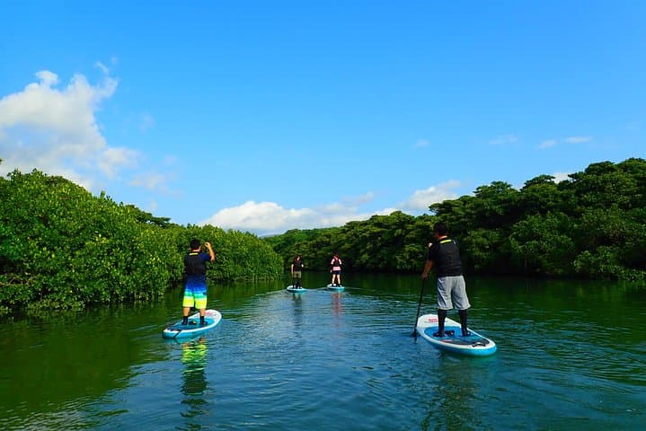 Okinawa Ishigaki Mangrove SUP or Canoe Tour — photo 19