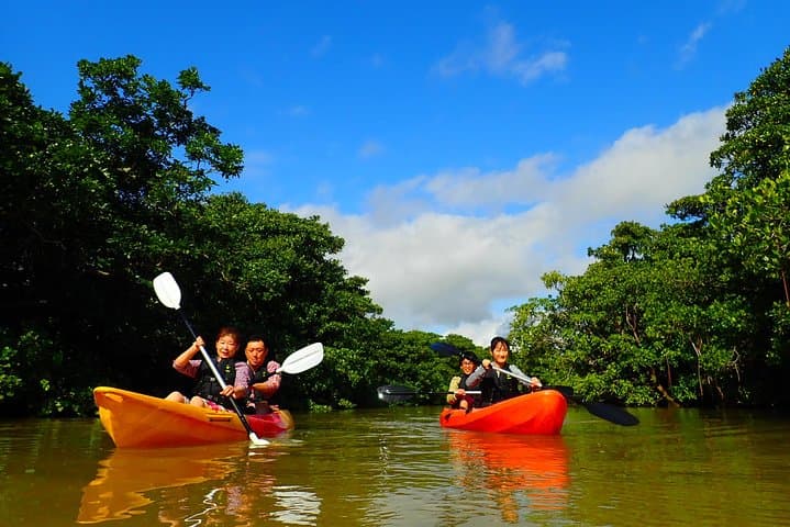 Okinawa Ishigaki Mangrove SUP or Canoe Tour — photo 17