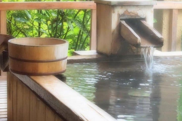 Hakone Onsen Experience, Lake Ashi, Open-Air Museum Tour — photo 2