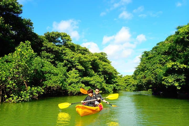 Ishigaki Mangrove SUP or Canoe + Blue Cave Snorkeling — photo 13