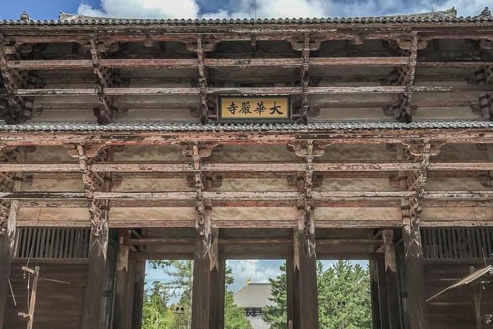 Nara Private Day Trip - Enjoy Your First-Time Visit to Nara! — photo 7