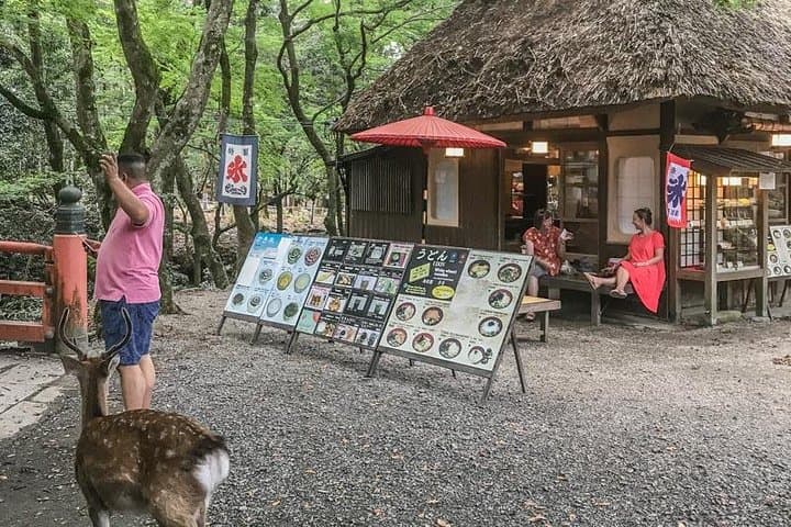 Nara Private Day Trip - Enjoy Your First-Time Visit to Nara! — photo 11
