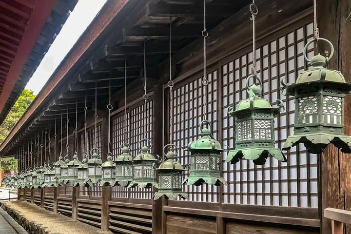 Nara Private Day Trip - Enjoy Your First-Time Visit to Nara! — photo 10