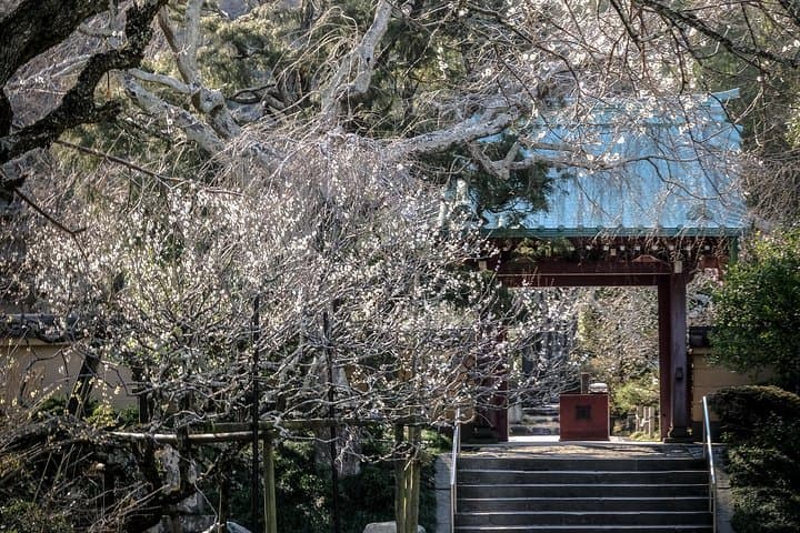 When Emperors Reigned and Shoguns Ruled — photo 7
