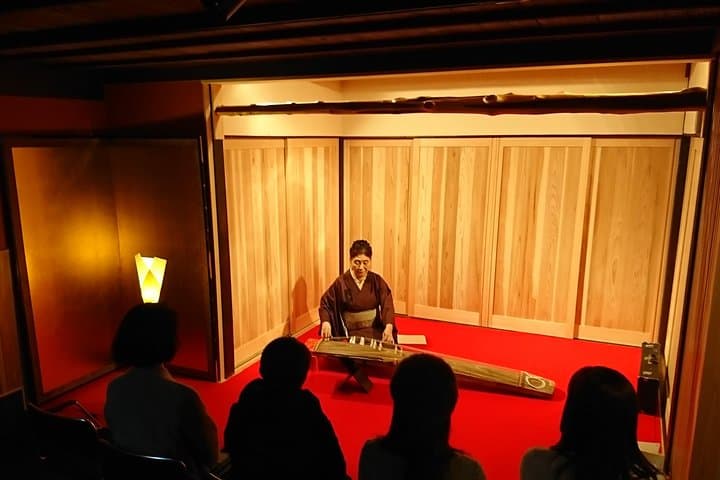 Private Japanese music concert — photo 1