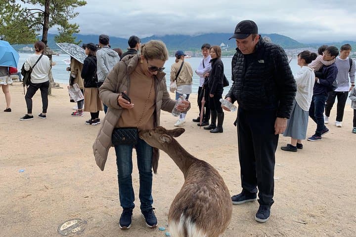 Miyajima Half-day Private Tour with Government Licensed Guide — photo 4