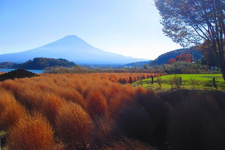 Lake Kawaguchi ⇔ Tokyo Bus Tickets — photo 14