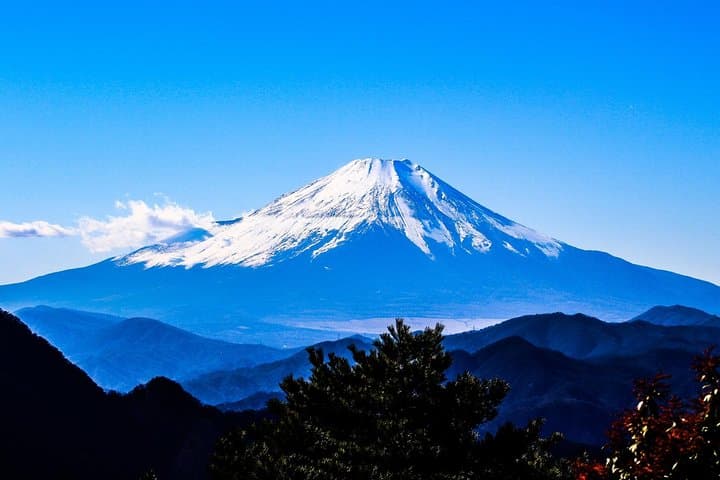 Lake Kawaguchi ⇔ Tokyo Bus Tickets — photo 15