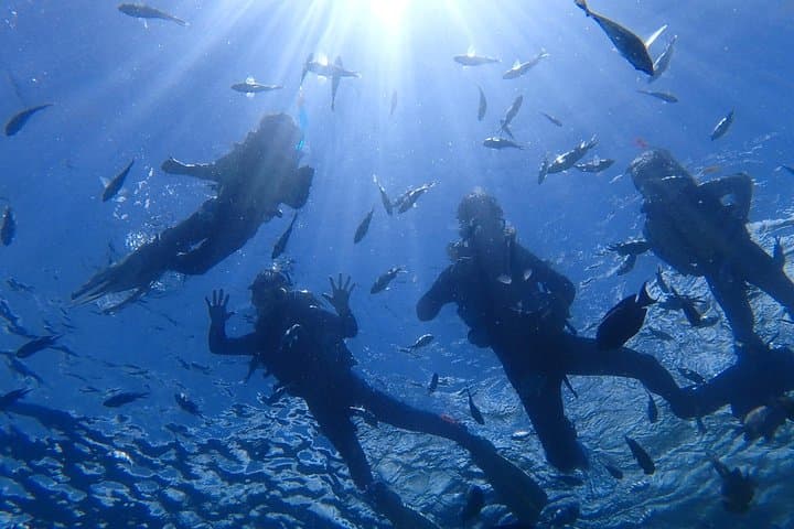 Snorkeling in the Blue Cave area【Okinawa Prefecture: Free feeding & photo images!English and Chinese speaking guide available! — photo 4