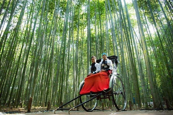 Kyoto Arashiyama Rickshaw Tour with Bamboo Forest — photo 5