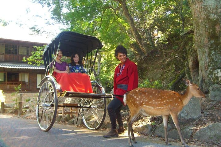 Private Miyajima Rickshaw Tour Including Itsukushima Shrine — photo 7