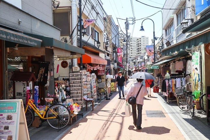 Yanaka Historical Walking Tour in Tokyo's Old Town — photo 3