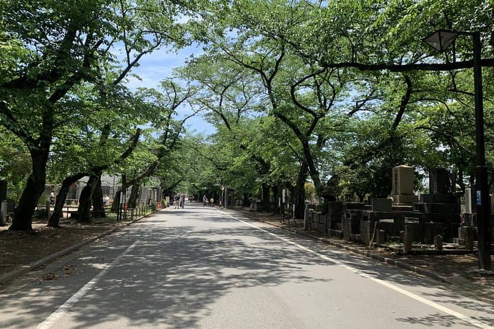Yanaka Historical Walking Tour in Tokyo's Old Town — photo 11