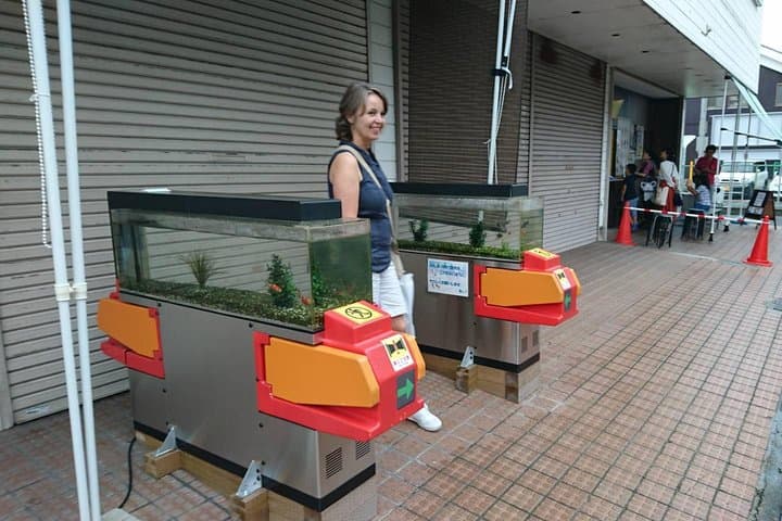 Yamato-Koriyama Castle and Goldfish Small-Group Tour from Nara — photo 9
