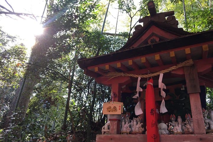 Yamato-Koriyama Castle and Goldfish Small-Group Tour from Nara — photo 4