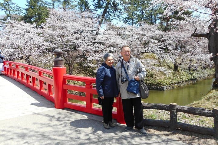 Private Cherry Blossom Tour in Hirosaki with a Local Guide — photo 3