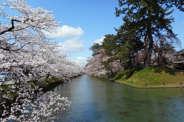 Private Cherry Blossom Tour in Hirosaki with a Local Guide — photo 18