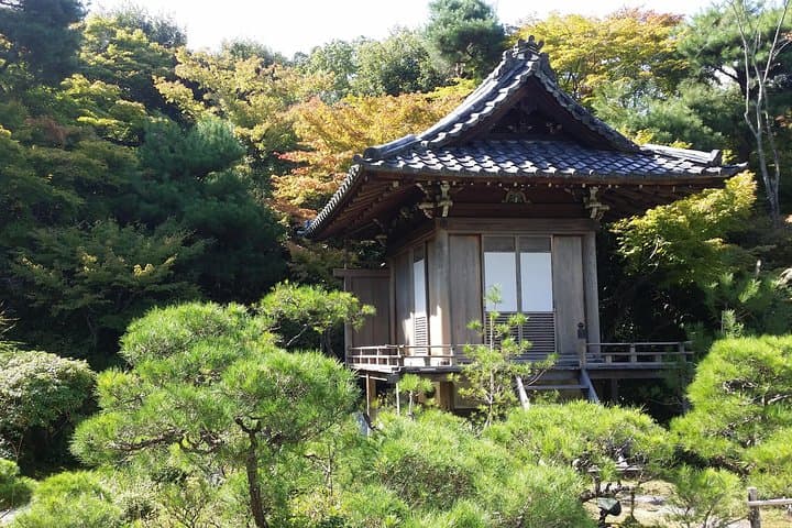 Kyoto Highlights: Arashiyama & Fushimi Inari by Private Car — photo 7