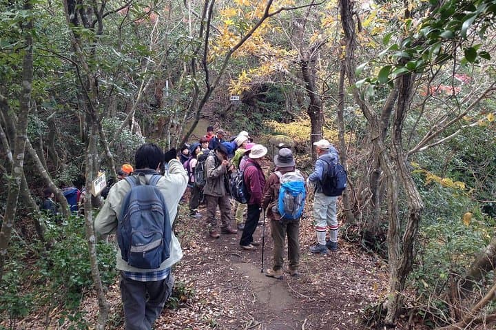 Granite Obelisk in Yakushima Full-Day Trekking Tour — photo 3