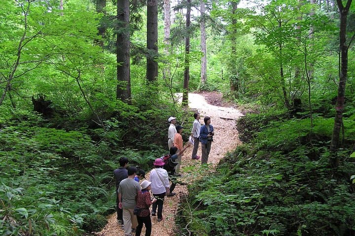 Shiratani-Unsuikyo Trekking Tour in Yakushima Island — photo 3
