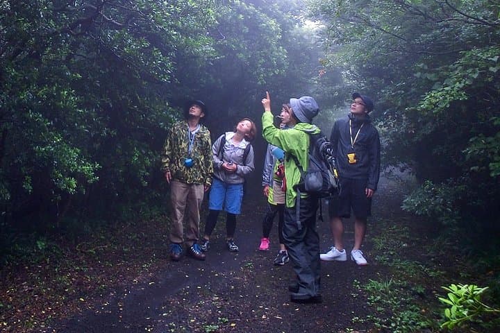 Shiratani-Unsuikyo Trekking Tour in Yakushima Island — photo 4